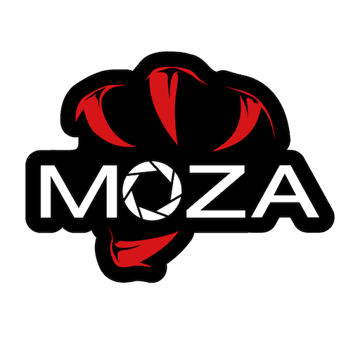 Gudsen MOZA